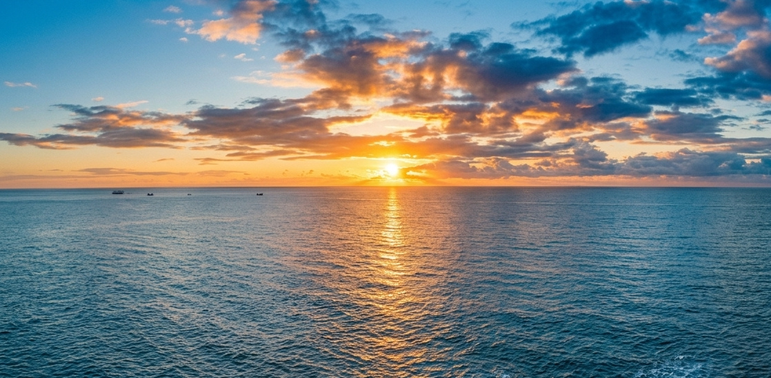 Homepage banner